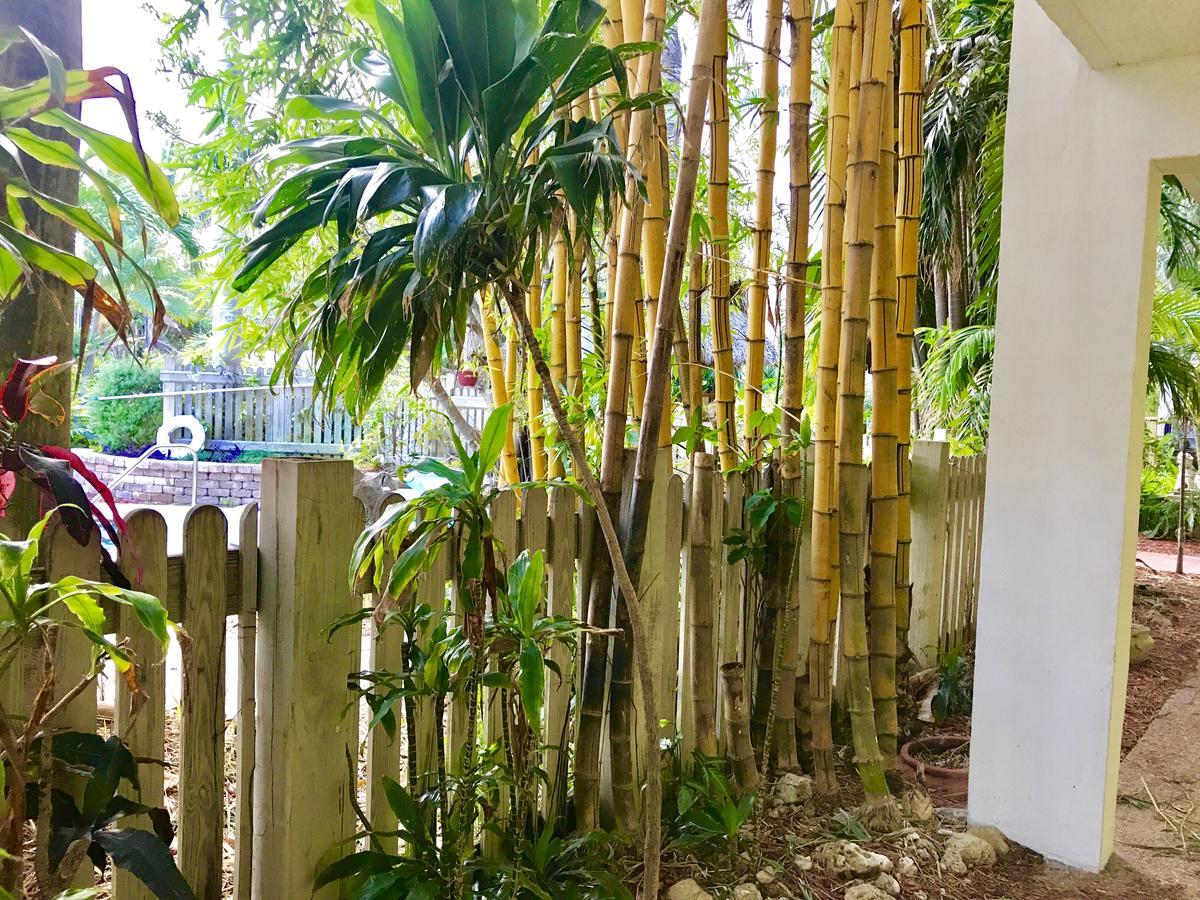 Riverside Apartments By The Beach Pompano Beach Luaran gambar